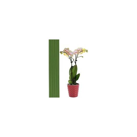 20 tiges de support pour plantes vertes de 40 cm - Pour jardin, maison, jardinage, fabrication de trépieds (1/5)