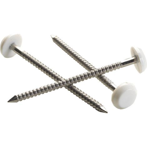 Pointe Plastop Tête Ronde inox A4 NORFIX annelée Ivoire Clair