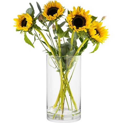 Grand Vase a Poser au Sol en Verre 29 cm Vase Decoratif Cylindre Rond Cylindrique en Verre Transparent, 4900 ML, Ø 15.8 cm, Magnolia (1/5)