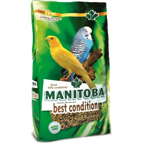 Best Condition Manitoba - Semi della salute - 2,5 kg