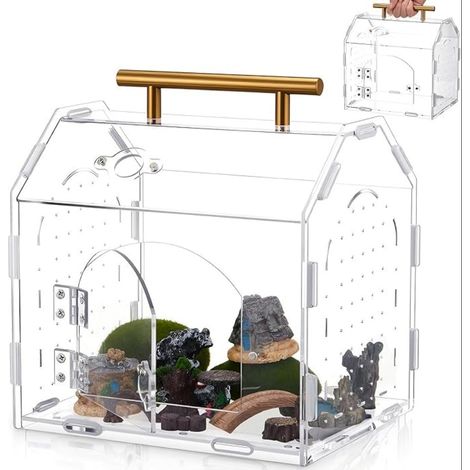Vivarium en acrylique pour araignée sauteuse, 22,6 x 13,9 x 17,5 cm, terrarium transparent, boîte de bricolage, reptiles, boîtier polyvalent (1/5)