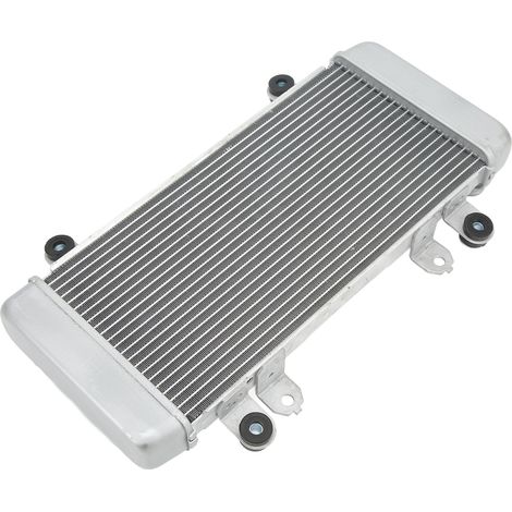 Ninja 300 Motorradkühler (2013–2018), Aluminium-Kühlwasserbehälter, silbernes Ersatzteil, Komplettset (1/5)