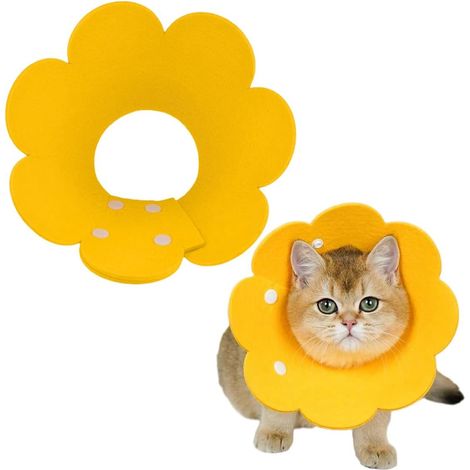 Collerette Chat Collier Anti Morsure Collier de Protection, Colliers pour Animaux de Compagnie Collier Anti-Lick Chat pour Chats Chiots(M) (1/5)