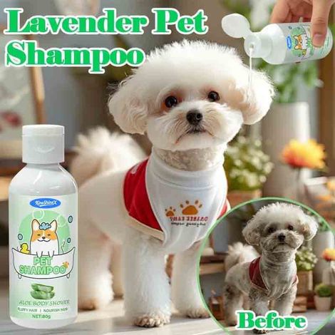 Hundeshampoo, geeignet für alle Hunderassen und Haustiere, langanhaltender Duft, sanfte Reinigungsformel, Pflegespülung. (1/5)
