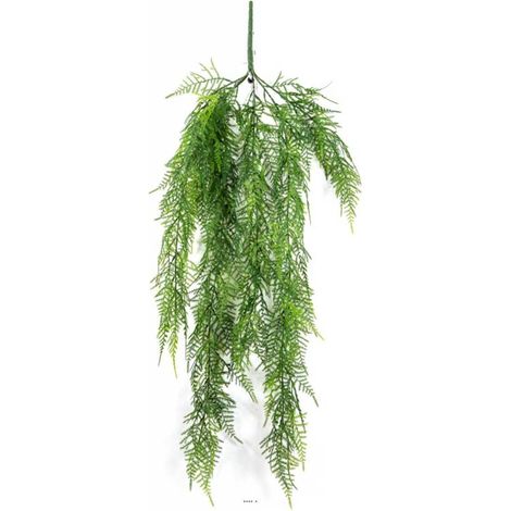 Chute d'asparagus artificiel L 75cm vert (1/3)
