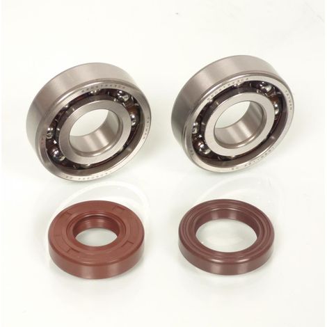 Roulement ou joint spi moteur TPI pour Moto Rieju 50 MRT Neuf (1/5)