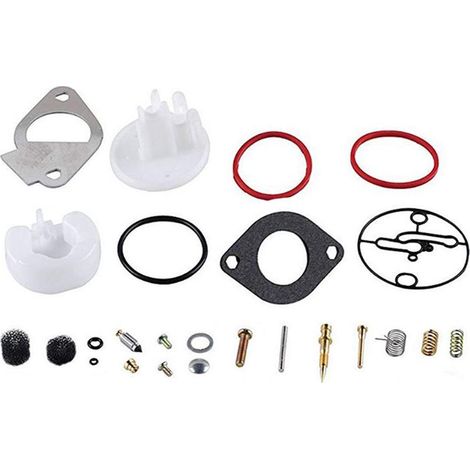 1 Kit Réparation Carburateur Tondeuse Compatible Briggs Stratton 796184 698787 Moteur 11HP-19HP (1/5)