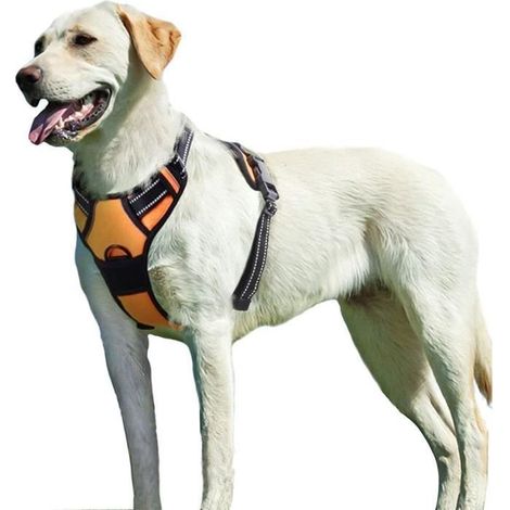 Harnais Chien S, Harnais Anti Traction pour Chien, Facile à Mettre, avec Poignée Contrôle, Livré avec une corde de 1,5 (1/4)
