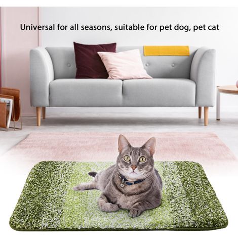 Tapis doux et chaud pour animaux de compagnie (chien/chat), coussin antidérapant, couverture, matelas (vert) (1/5)