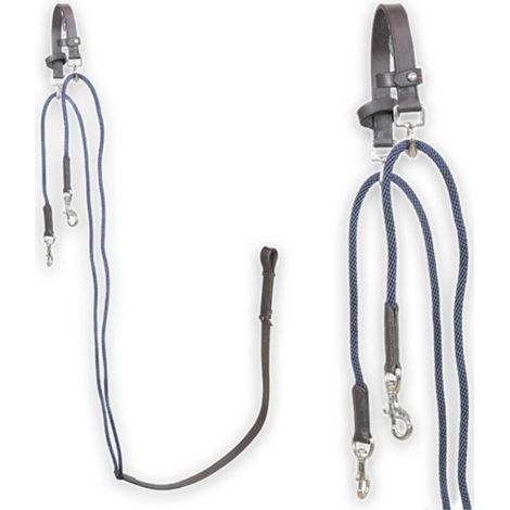 Pour en savoir plus :, Marron: Bandeau de cheval abaissant le chambon