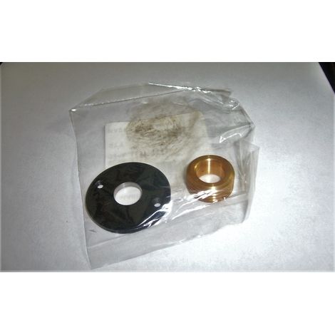 VITE SENZA FINE INGRANAGGIO POMPA OLIO MOTOSEGA ECHO CS5000 43700419931