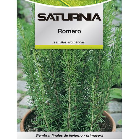 Semi di rosmarino aromatico (0,1 grammi) Orticoltura, Orticola, Semi di ortaggi. (1/2)