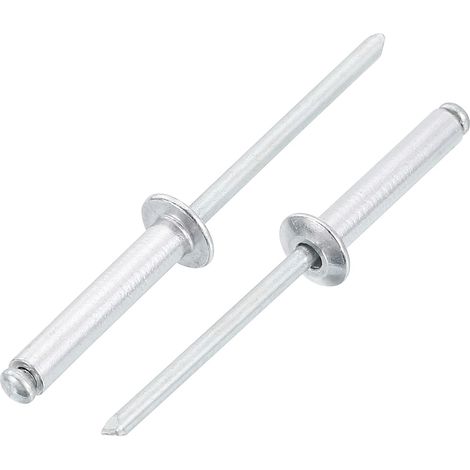 100 Pièces 4 x 20 mm Rivets Aveugles En Aluminium, Poignée En Aluminium Et Mandrin En Acier, Rivets Fendus à Tête Bombée Pour Métal, Meubles, Automobile, Argenté (1/5)