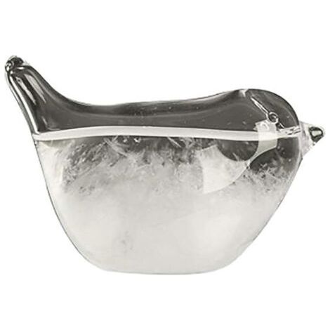 Verre tempête, goutte d'eau oiseau verre tempête pour prévisions météo Créative, station météo liquide baromètre décoratif Weather prédictor pour la maison de bureau cadeau (1/5)