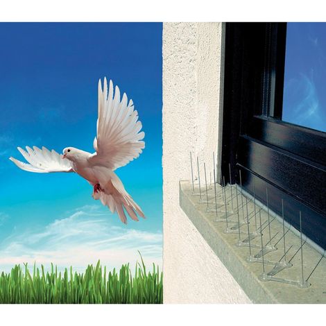 Pic Di Anti Piccione Trasparente 13,5 X 11,7 X 32 Cm - Prima Flora 610.261