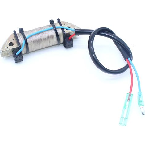 S-giant Bobine de charge pour moteur hors-bord Tohatsu 2 temps 18 chevaux - Compatible avec 3G3-06021-1. (1/5)
