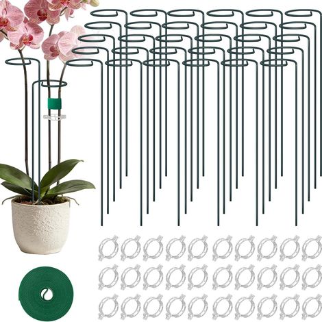 Tuteurs pour Plantes, 30 Supports en Métal avec 30 Clips pour Plantes – Réutilisables, Résistants aux Intempéries et Robustes, pour Tomates, Plantes Grimpantes, Vivaces, Rosiers et Plantes d'Intérieur (1/5)