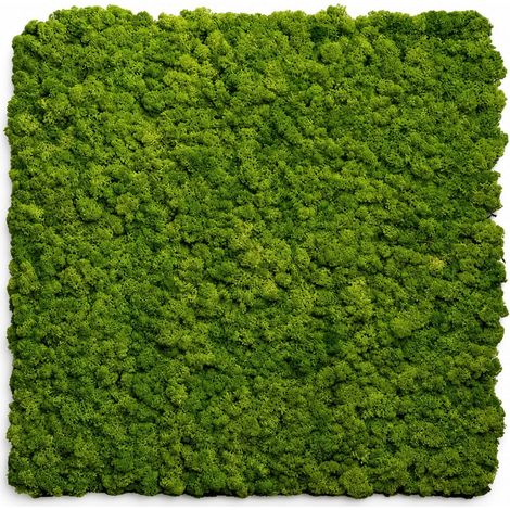 Pannello decorativo fonoassorbente acustico Set 2 pz 60x60 cm effetto muschio sintetico erba artificiale
