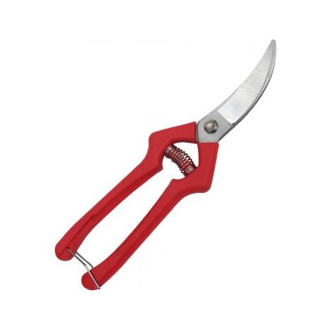 Forbici da raccolta P-2521 (1/3)