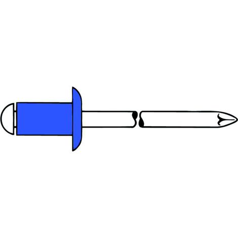 Rivets aveugles Gesipa Mini-paquet acier/acier 4 x 6 (1/2)