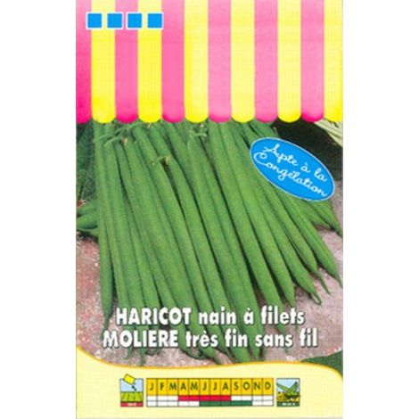 Haricot nain à filet Molière  - 100g