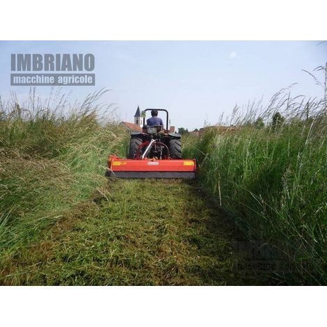 Trincia Maschio Brava 180 (1/5)