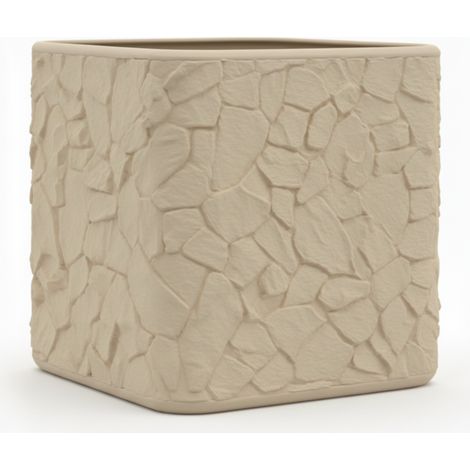 Ensemble de 2 pots beiges avec un plateau pour plantes grasses et cactus