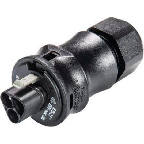Wieland Electric 96.032.0053.1 Rundstecker Stecker, gerade Gesamtpolzahl: 3 1 St.