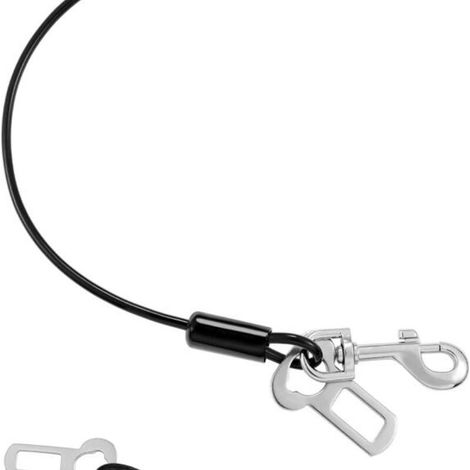 Ceinture de sécurité pour chien, laisse en fil d'acier anti-morsure de 81 cm, avec boucle et loquet (1/4)