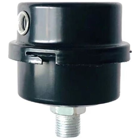 Green Mobility-Silencieux pour compresseur sans huile, filtre à air et cartouche, boîtier métal-plastique, filetage 16 mm, accessoire compact pour pompe à air (1/3)