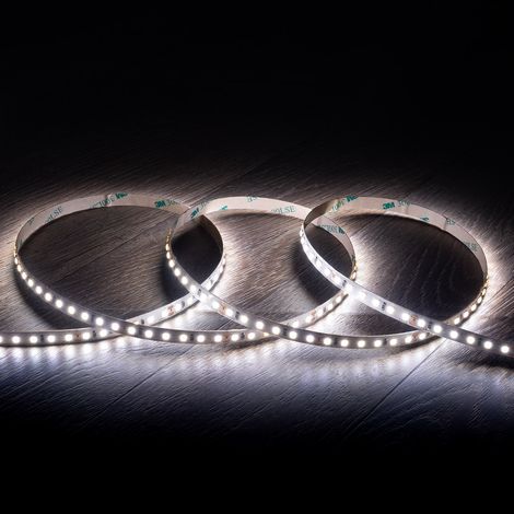 Bobina 5m Striscia LED 24V SMD 120 LED/m 16W/m 2000lm/m High Lumen Larga 8mm IP20 Taglio 5cm 6000K Bianco Freddo