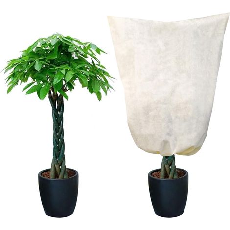 Grande Housse de Protection hivernale pour Plantes en Pot - 120 x 180 cm - Indéchirable et Respirant - Beige - avec Cordon de Serrage - Protection Contre Le Gel pour Plantes en Pot