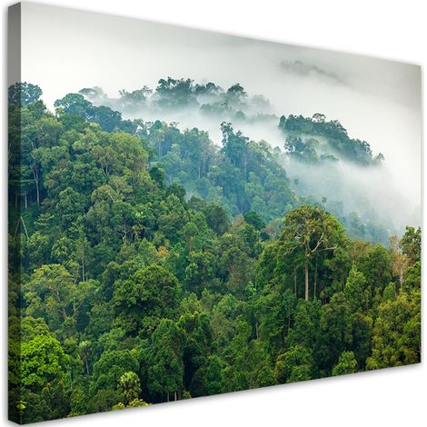 Quadro su tela, Foresta nella nebbia - 90x60 (1/5)