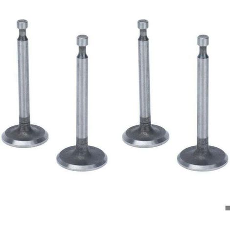 Kit de soupapes de moteur - ZOR® - 2 ensembles - Antirouille - Acier inoxydable - Pour moteurs 2KW 2.5KW 3KW (1/2)
