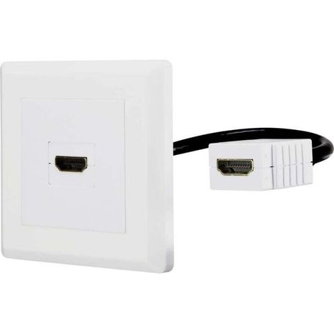 Online Store RF-4538136 HDMI Adaptateur [1x HDMI femelle - 1x HDMI femelle] blanc contacts dorés 15.00 cm A807862 (1/4)