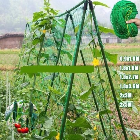 (1,8 x 3,6 m (5,9 x 11,8 Fuß)) Robustes Ranknetz für Kletterpflanzen, für den Garten, für Weinreben, Obst und Gemüse (1/2)