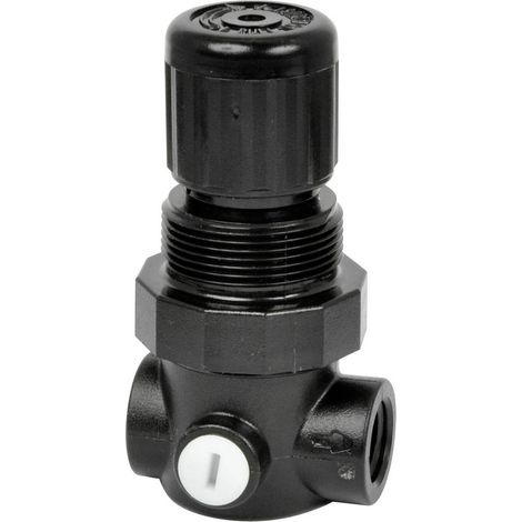 IMI NORGREN R91W-2GK-NEN Regolatore di pressione per liquidi 1/4