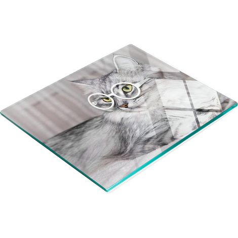 Piatto decorativo multifunzionale in vetro per cucina, a forma di gatto con gli occhiali, 60x52 cm. (1/5)