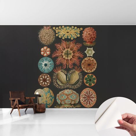Carta da parati autoadesiva - fotomurale - alta qualità - per la cucina - camera da letto - Ispirazioni marine 416x254 cm (1/5)