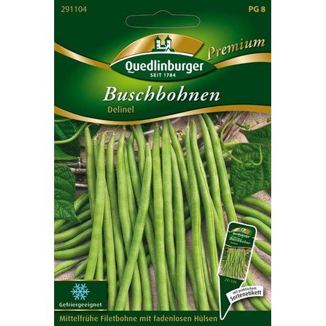 Quedlinburger Buschbohne Delinel - Gemüsesamen