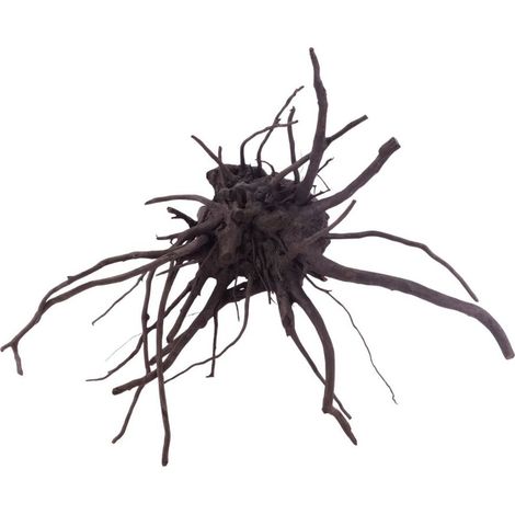 L Black Spider Wurzel Nr.5233 Fingerwurzel Echtholz Deko Aquascaping