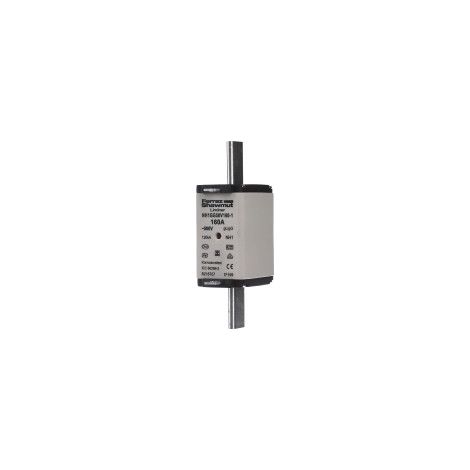 Mersen NH-Sicherungseinsatz SG Gr.1 gG 160A/500V KM NH1GG50V160-1 (1/2)