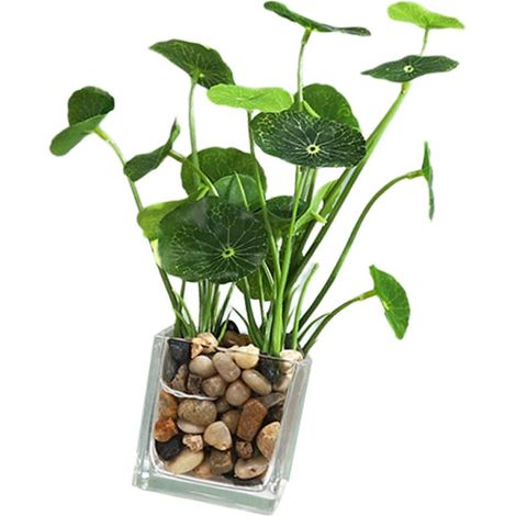 Plante Artificielle Bonsaï Petite Taille en Pot Imitation Feuille de Lotus, Décoration Intérieure sans Entretien, Plante Verte Artificielle pour Salon, Bureau et Maison (1/5)