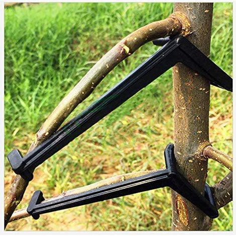 Nouveau type de presse à branches pour arbres fruitiers, arrache-branches réglable, outil de mise en forme des branches pour arbres fruitiers