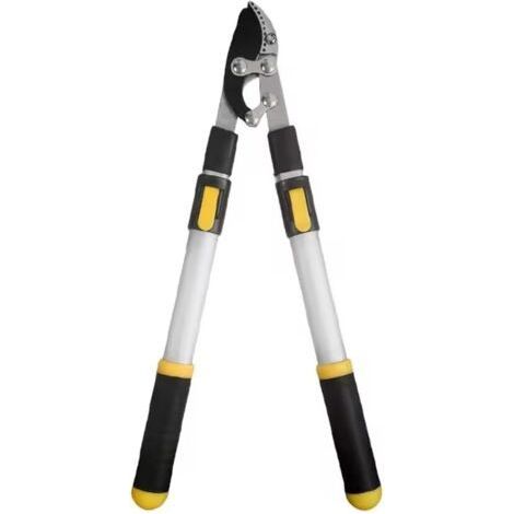Longue Branche Élagage Cisaillement Jardinage Arbre Fruitier en Acier Ciseaux de Jardin Extensible (1/5)