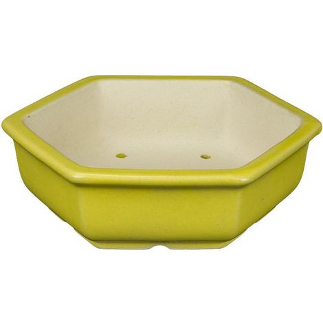 Vaso per bonsai esagonale in gres smaltato giallo 12x12x3,5 cm - A37