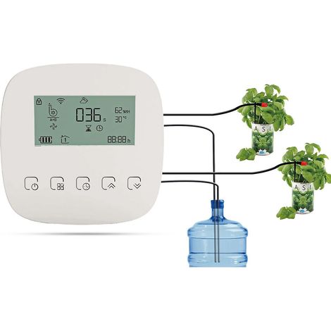 Automatisches Bewässerungssystem, intelligentes Bewässerungsgerät, Doppelpumpensystem, WLAN-/Sprach-/manuelle Steuerung