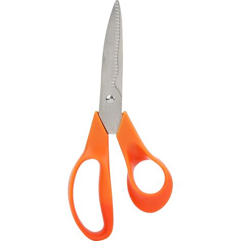 Cisaille De Jardinage - Lame En Acier Inoxydable - Pour Arbres Et Plantes - Ergonomique - 1 Pièce (1/5)