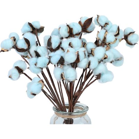 Paquet de 30 tiges de coton fleurs de coton séchées naturellement décor de style ferme fleurs séchées décoration de la maison accessoires photo décoration d'ambiance (1/5)