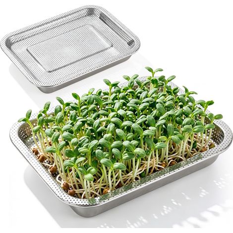 2 Pack Stainless Steel Sprouting Bowl 27 x 20 x 4.8 cm Sprout Growing Kit Growing Tray for Kitchen Indoor Garden Silver Metal Heavy Duty (1/5)